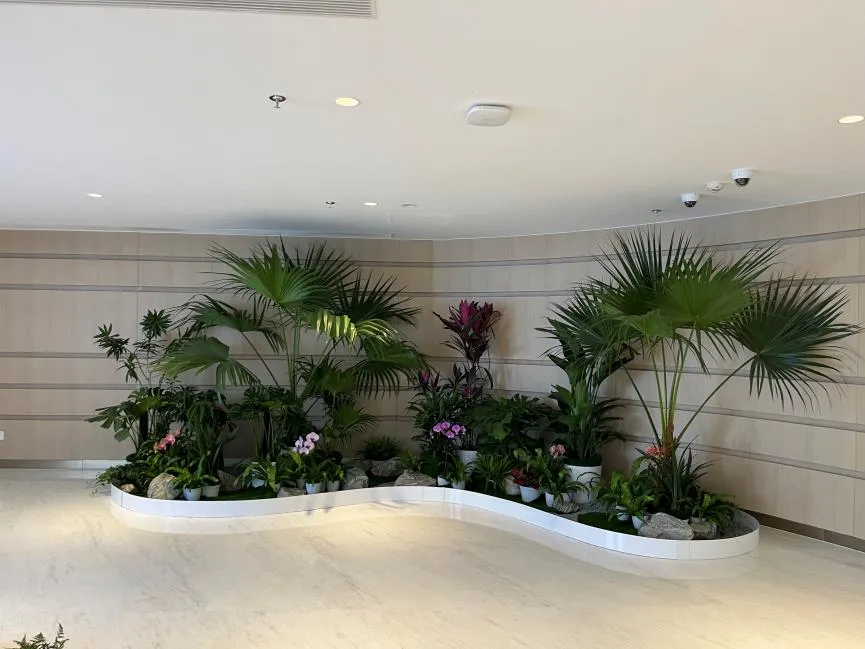 余姚花卉租摆公司，为您的空间添彩